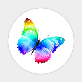 Colorful Butterfly Magnet